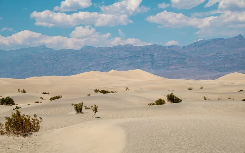 Mesquite Flat Sand Dunes, situated in Death Valley National Park, cover an area of about 14 square miles and reach heights up to 100 feet. These dunes are composed of fine quartz sand, shaped by winds into dramatic, ever-changing formations.