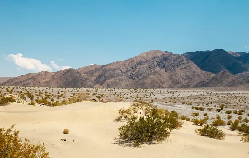 Mesquite Flat Sand Dunes, situated in Death Valley National Park, cover an area of about 14 square miles and reach heights up to 100 feet. These dunes are composed of fine quartz sand, shaped by winds into dramatic, ever-changing formations.