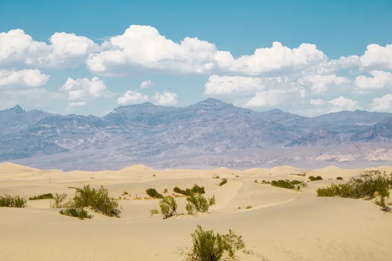 Mesquite Flat Sand Dunes, situated in Death Valley National Park, cover an area of about 14 square miles and reach heights up to 100 feet. These dunes are composed of fine quartz sand, shaped by winds into dramatic, ever-changing formations.